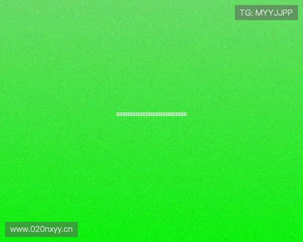 快船迎战独行侠哈登首秀引领激烈对决双星争锋拼抢季后赛席位